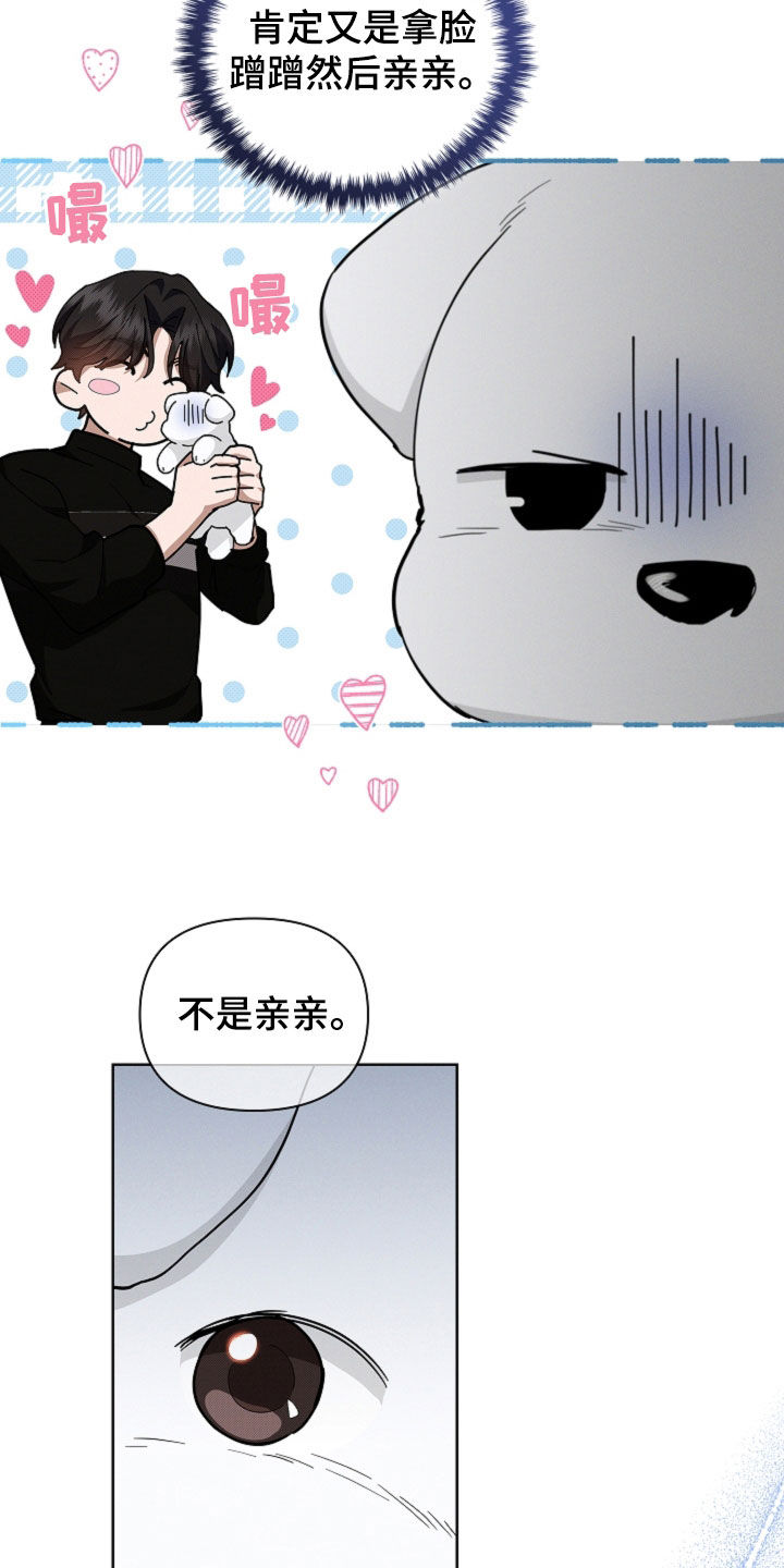 小白狗奇遇记漫画,第44章：大礼4图