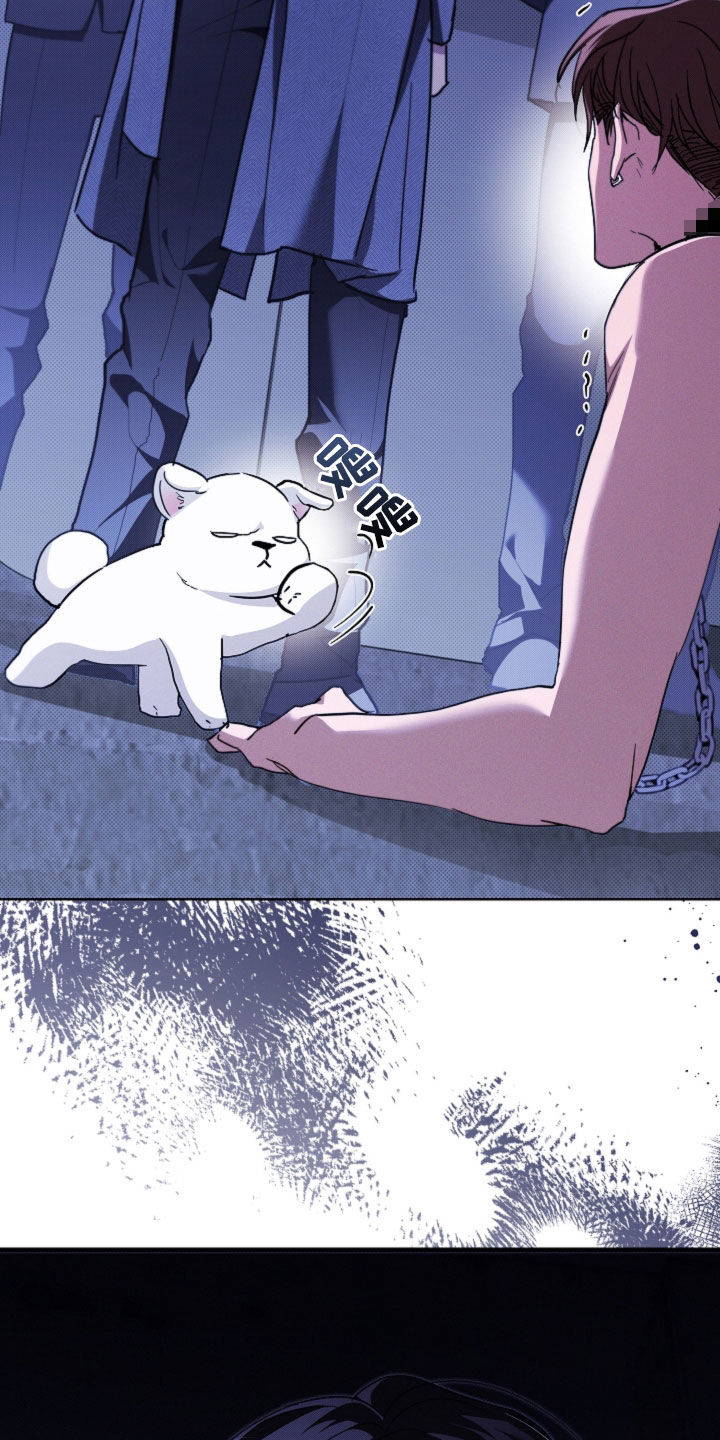 小白狗奇遇记漫画,第44章：大礼5图