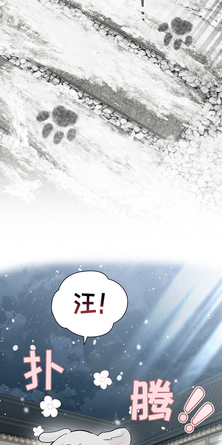 小白狗奇遇记漫画,第75章：【第二季】嬉戏5图