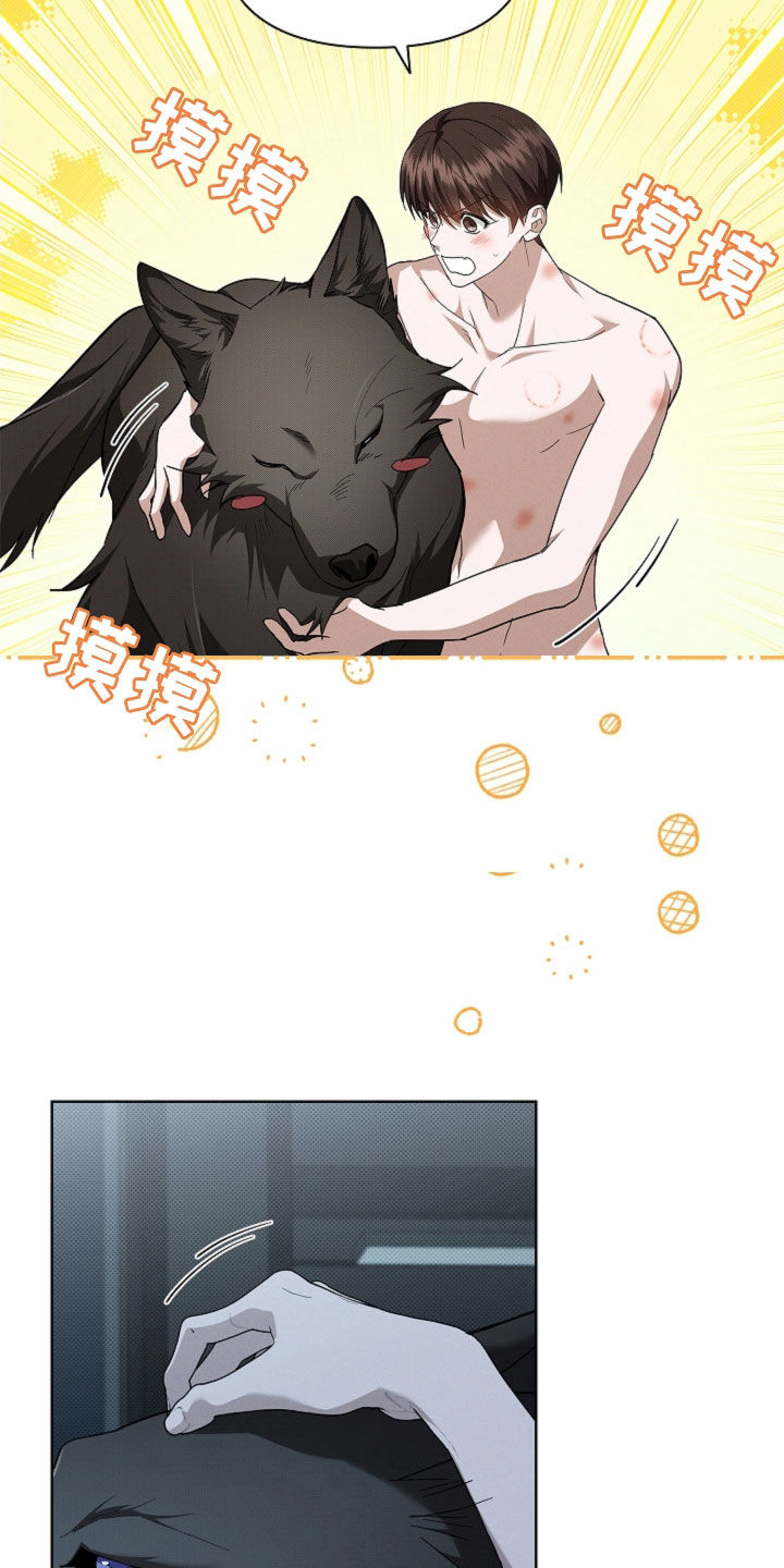 小白狗奇遇记漫画,第64章：我们得结婚了2图