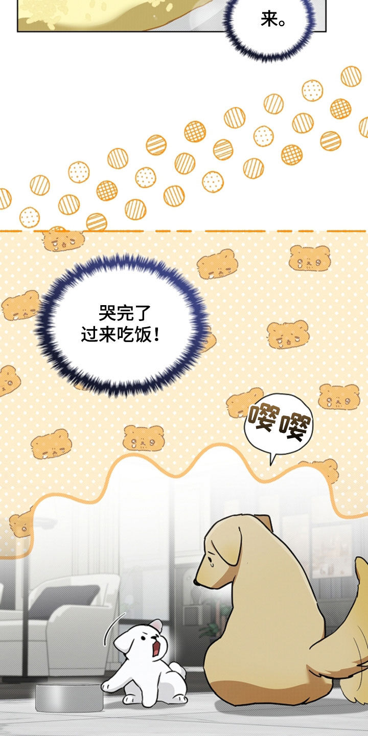 小白狗奇遇记漫画,第101章：【番外】带娃4图