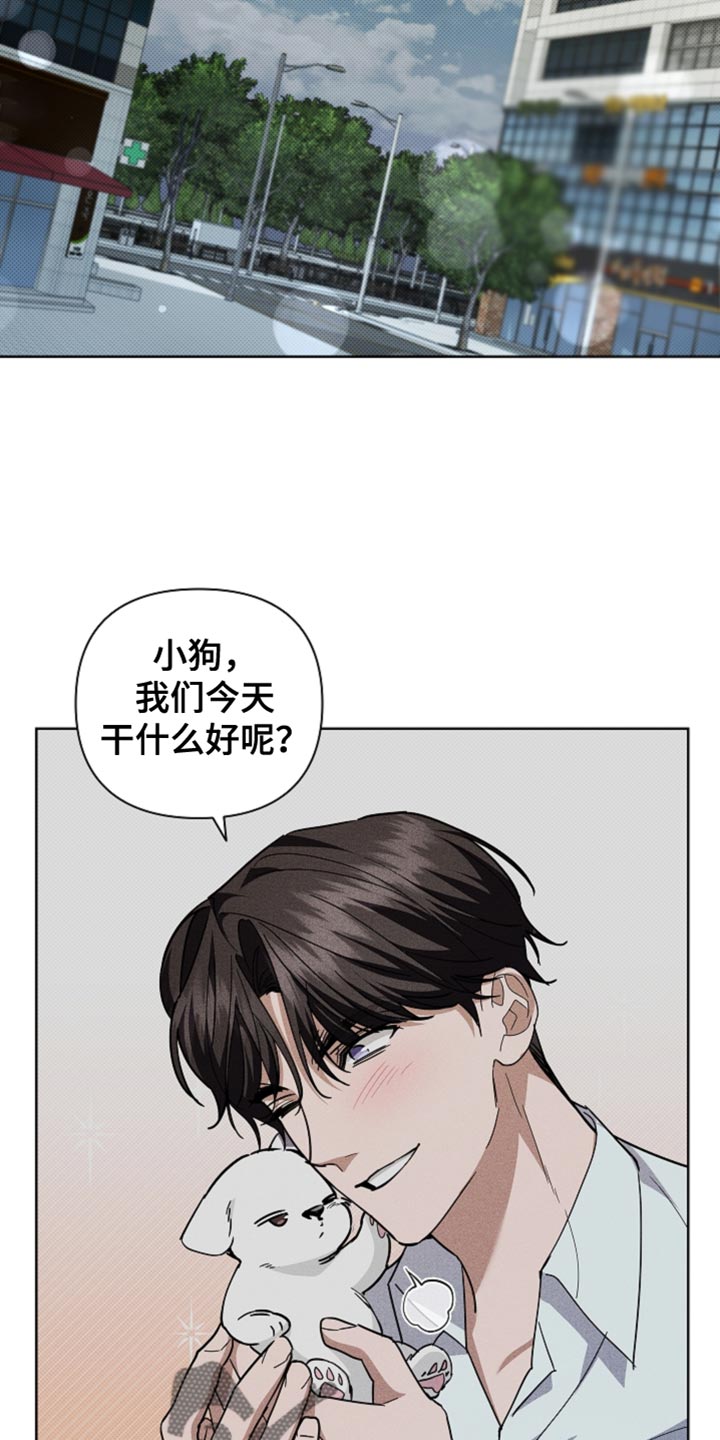 小白狗奇遇记漫画,第37章：我现在去找你5图