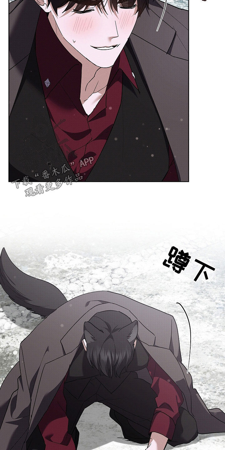 小白狗奇遇记漫画,第75章：【第二季】嬉戏2图