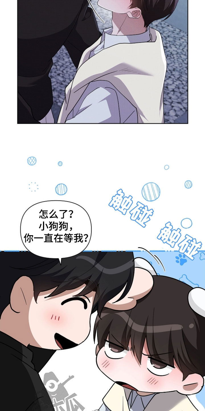 小白狗奇遇记漫画,第69章：果然很聪明3图