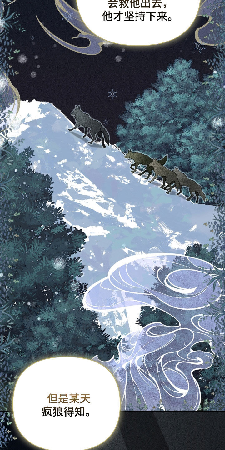 小白狗奇遇记漫画,第80章：【第二季】疯狼3图