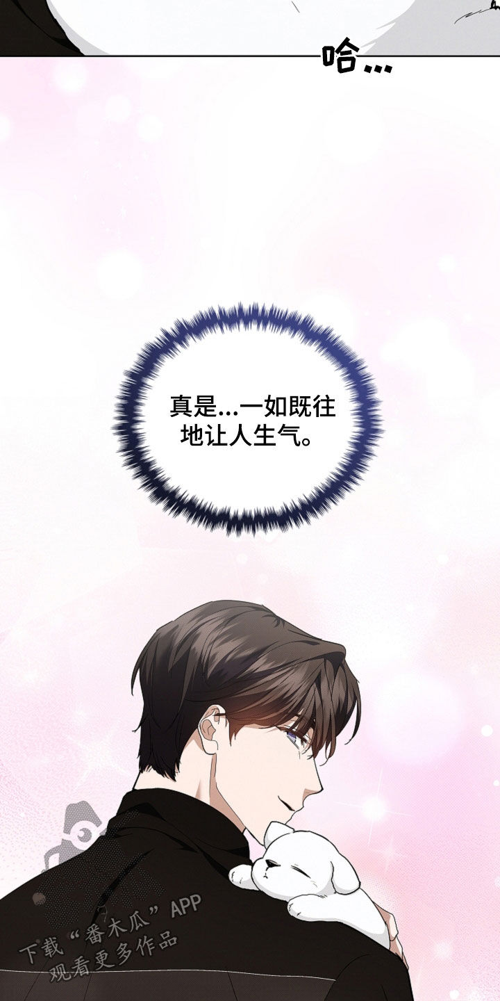 小白狗奇遇记漫画,第44章：大礼3图
