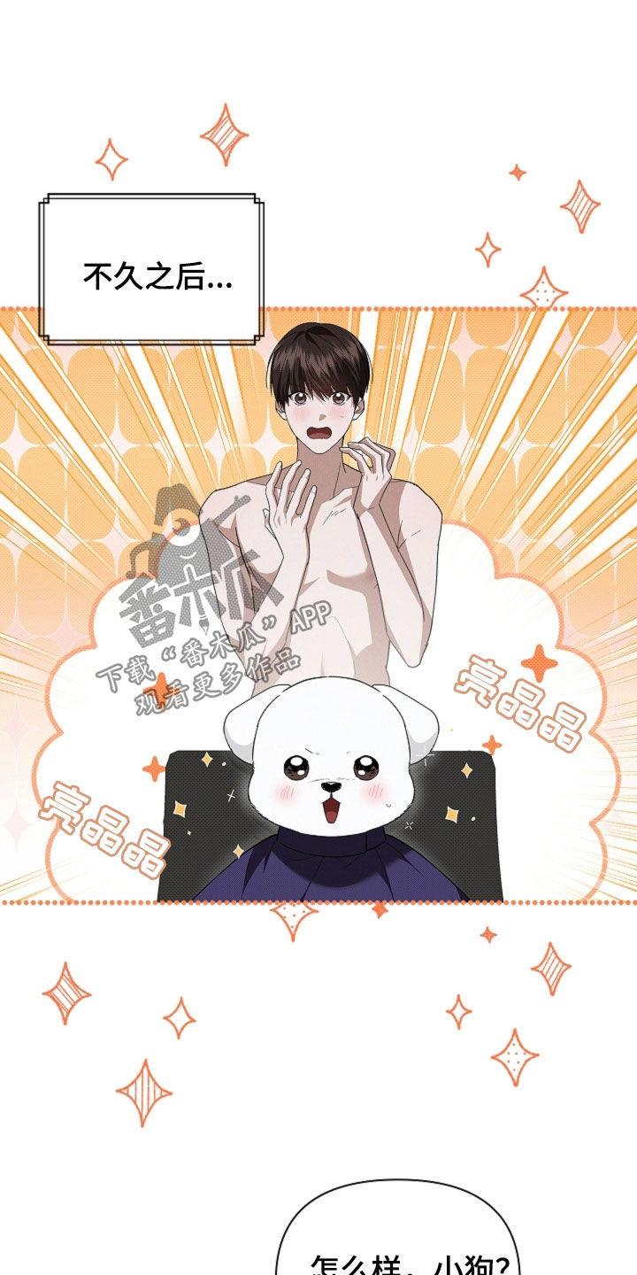 小白狗奇遇记漫画,第66章：见家长3图