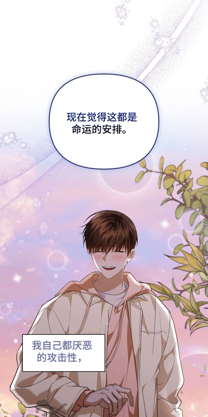 小白狗奇遇记漫画,第63章：命运的安排2图