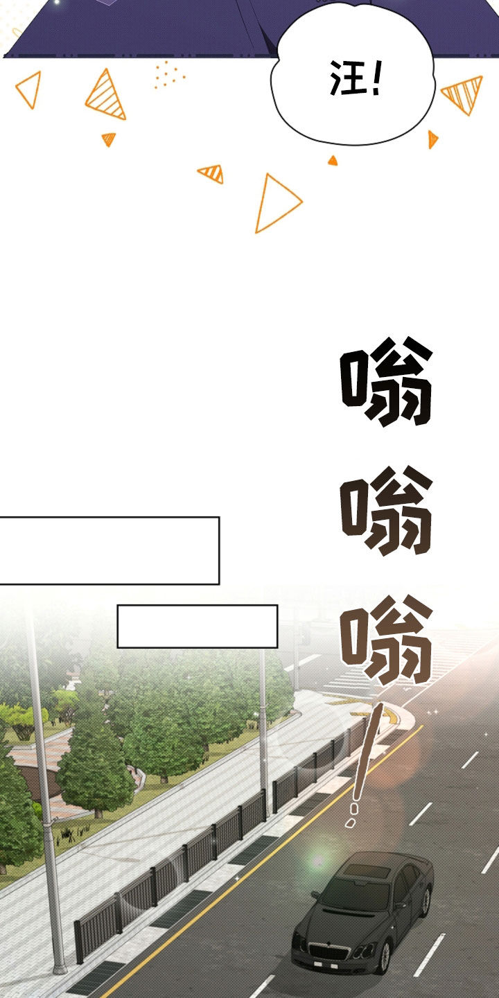 小白狗奇遇记漫画,第66章：见家长1图