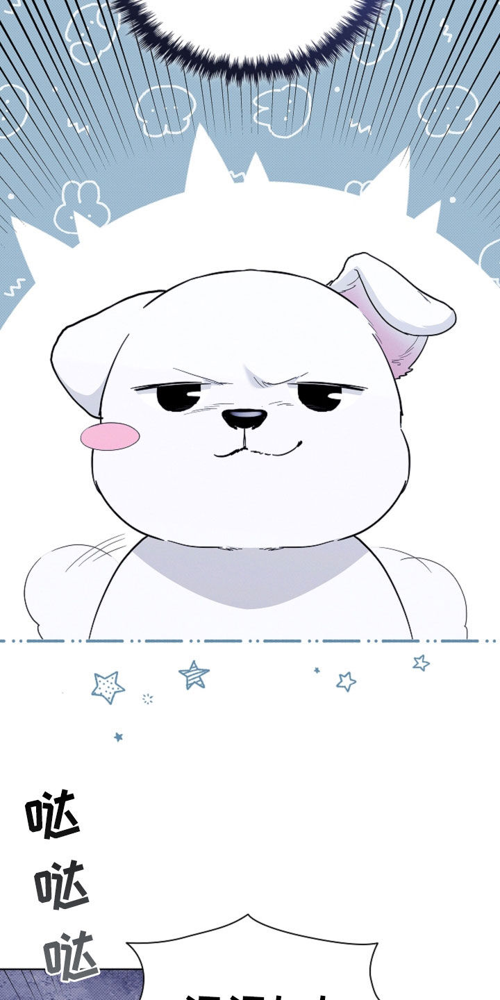 小白狗奇遇记漫画,第44章：大礼3图