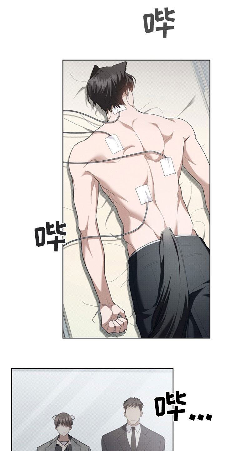 小白狗奇遇记漫画,第50章：金发男人1图