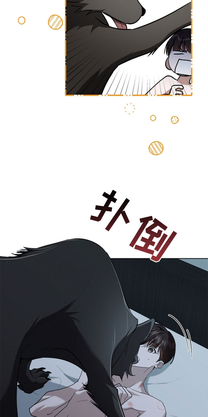 小白狗奇遇记漫画,第64章：我们得结婚了4图