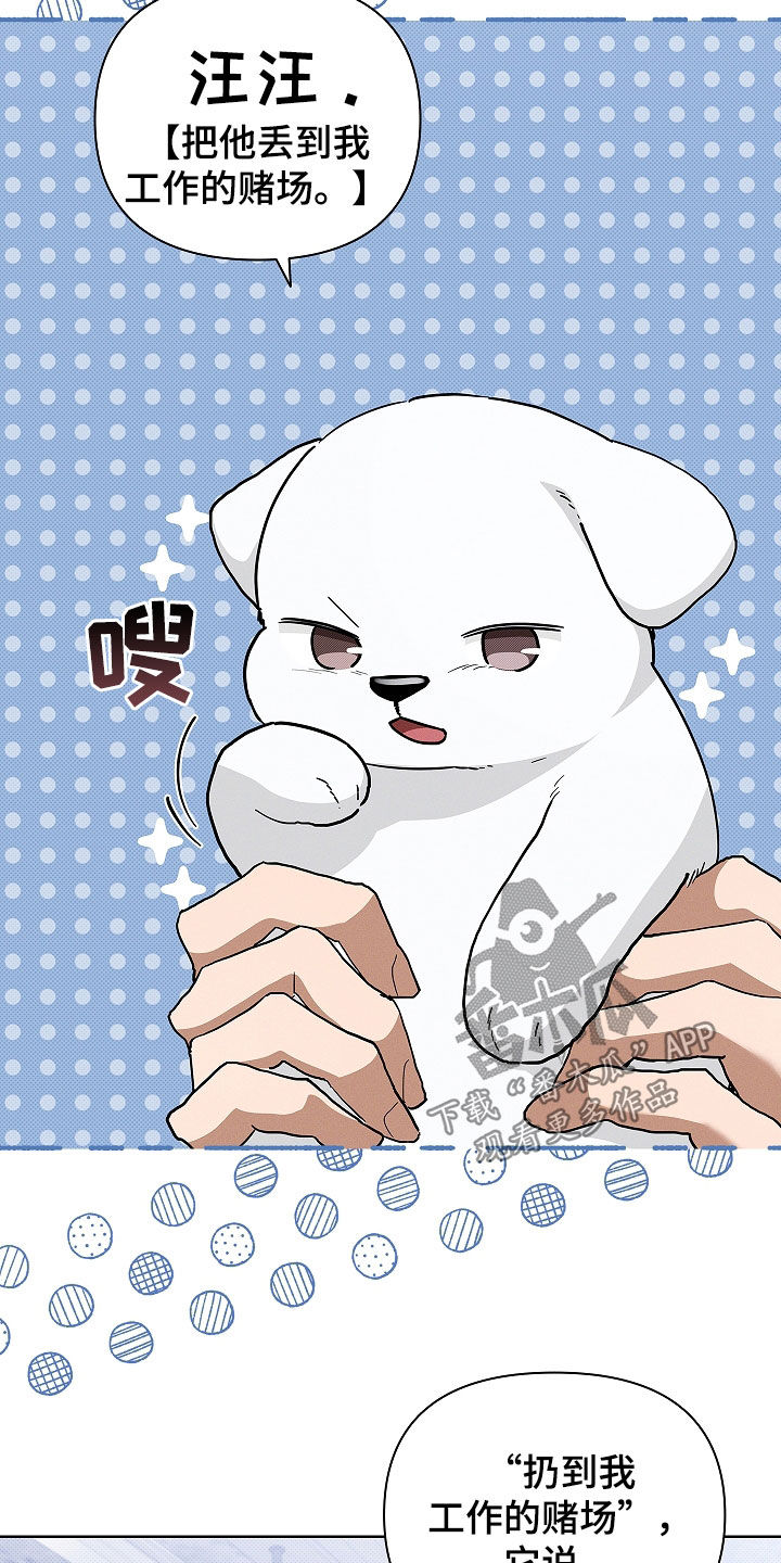 小白狗奇遇记漫画,第45章：报仇1图