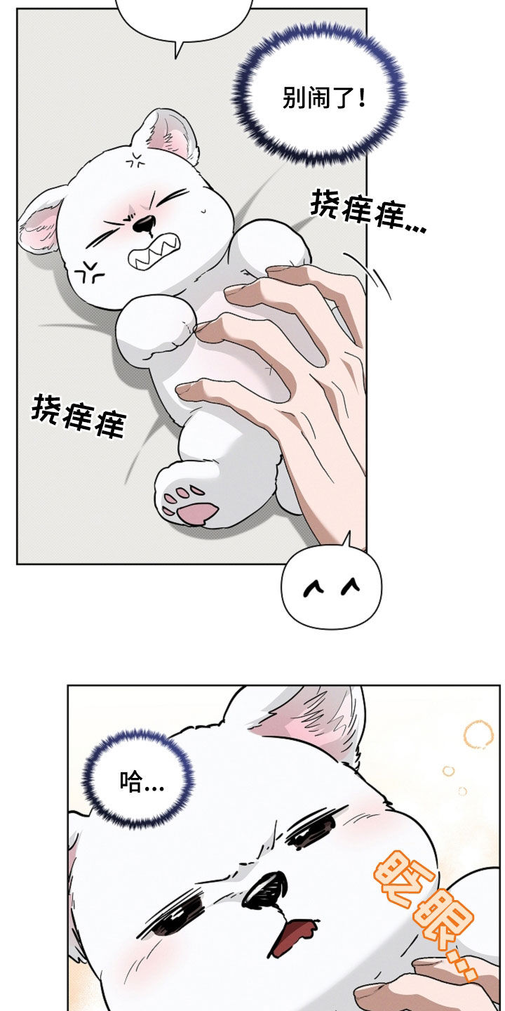 小白狗奇遇记漫画,第62章：食人狼2图