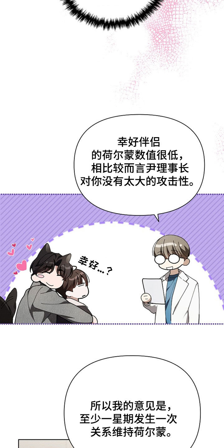 小白狗奇遇记漫画,第49章：建议3图