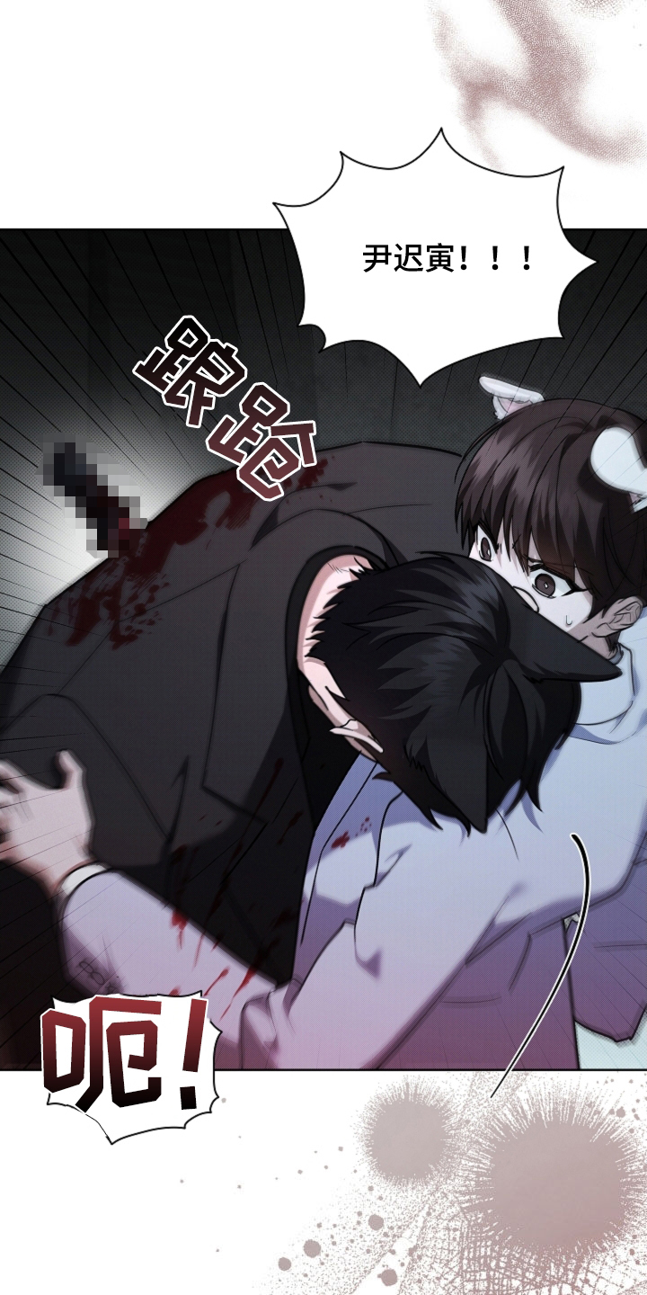 小白狗奇遇记漫画,第84章：【第二季】受伤2图