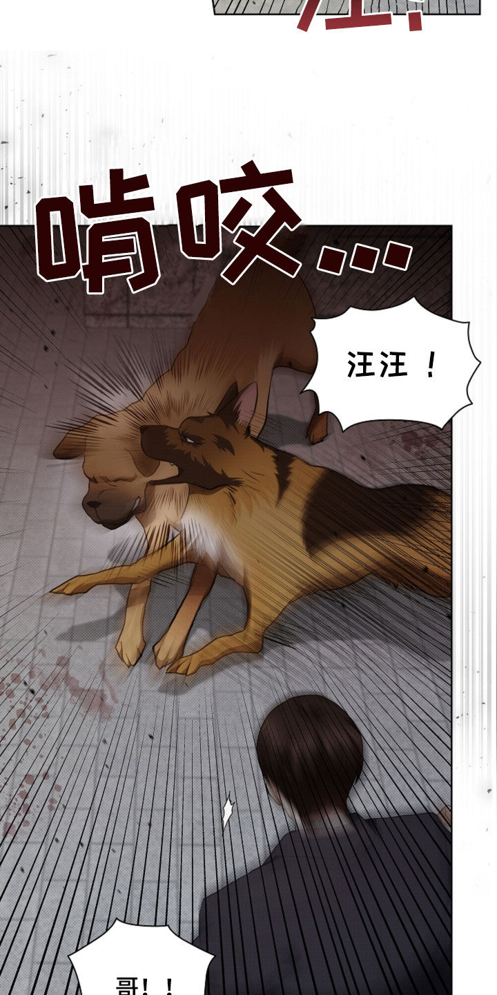 小白狗奇遇记漫画,第56章：叛徒3图