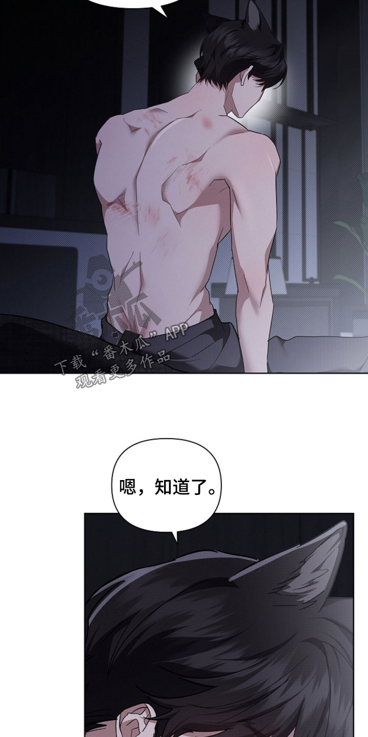 小白狗奇遇记漫画,第98章：【番外】真固执3图
