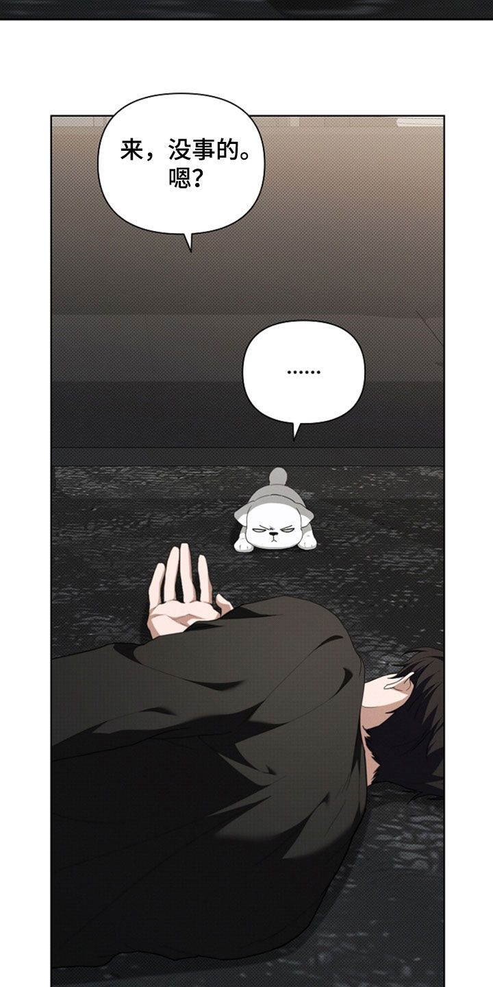 小白狗奇遇记漫画,第48章：去医院3图