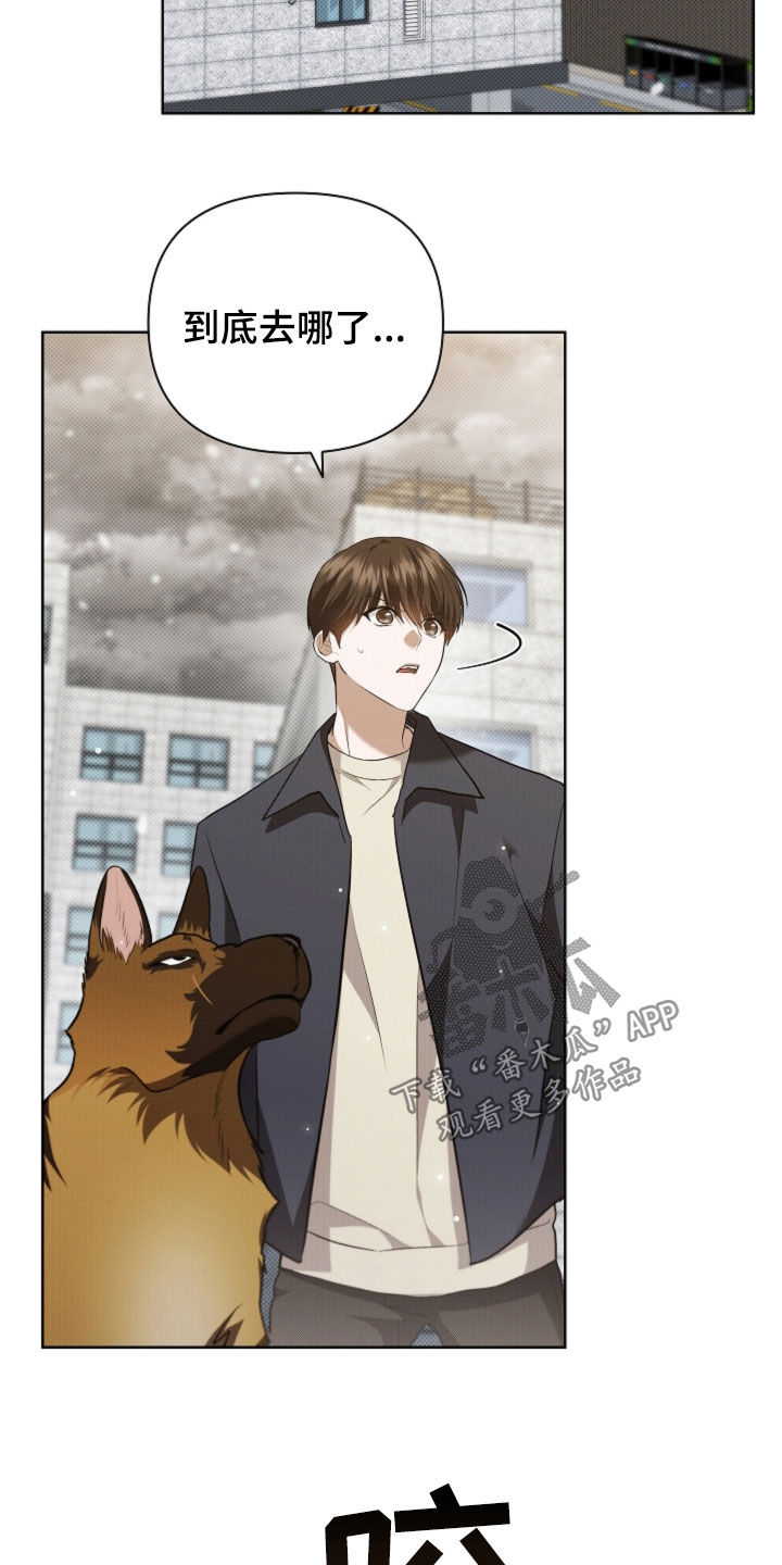 小白狗奇遇记漫画,第56章：叛徒1图