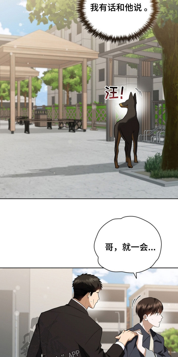 小白狗奇遇记漫画,第56章：叛徒3图