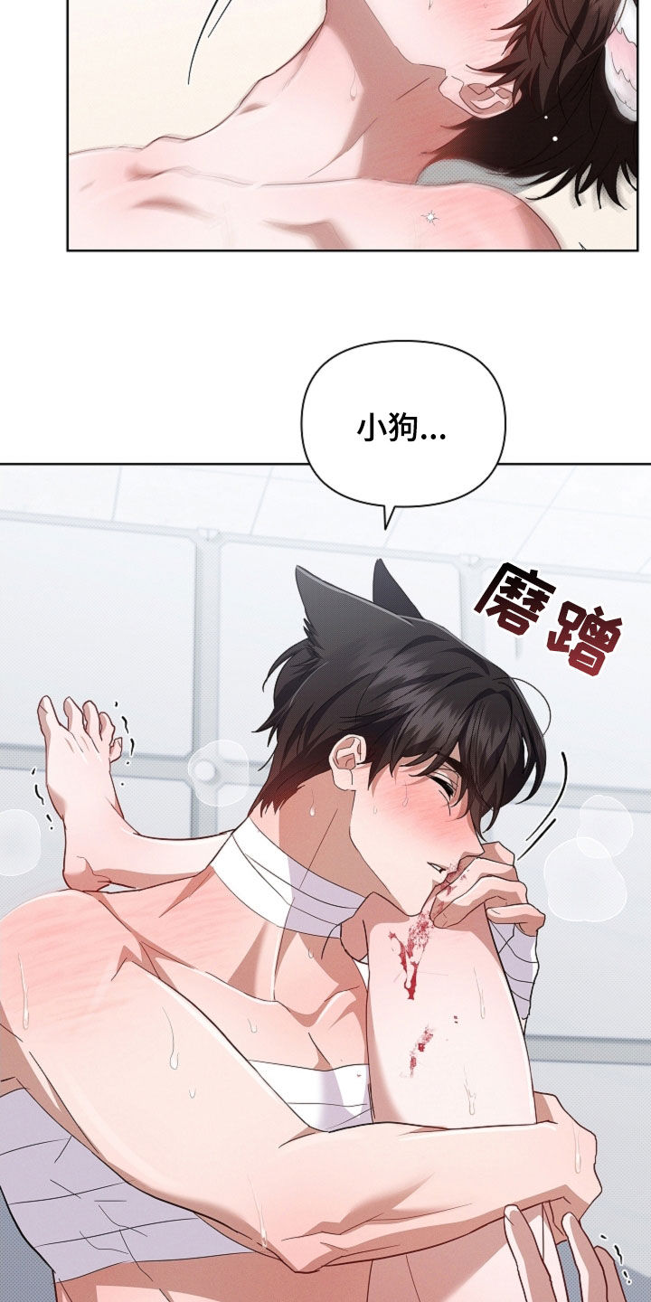 小白狗奇遇记漫画,第91章：【第二季】真碍事1图