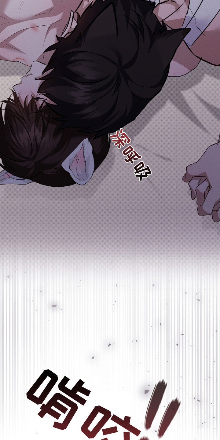 小白狗奇遇记漫画,第92章：【第二季】受伤4图