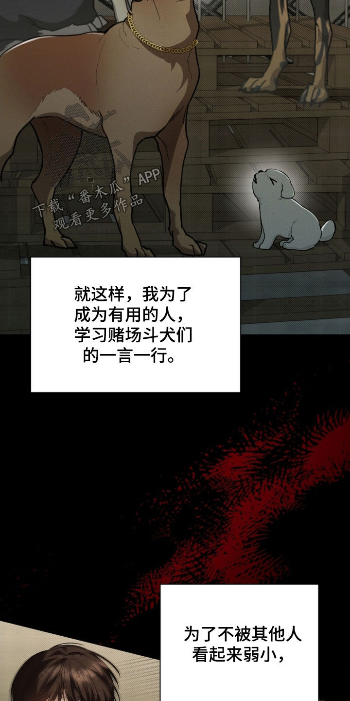 小白狗奇遇记漫画,第41章：体弱多病3图