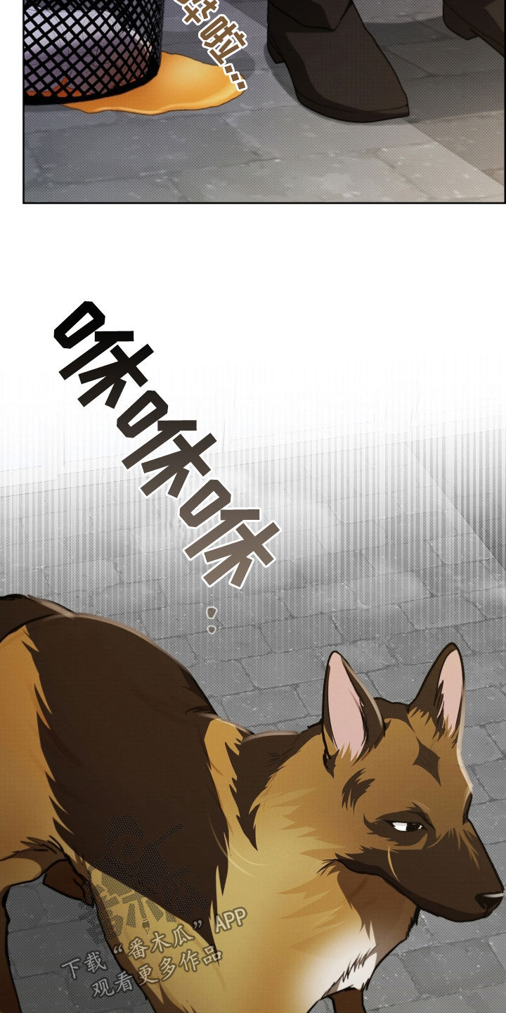 小白狗奇遇记漫画,第56章：叛徒3图