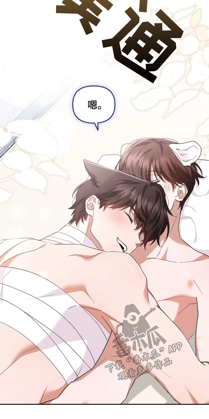 小白狗奇遇记漫画,第93章：【第二季】不能哭4图