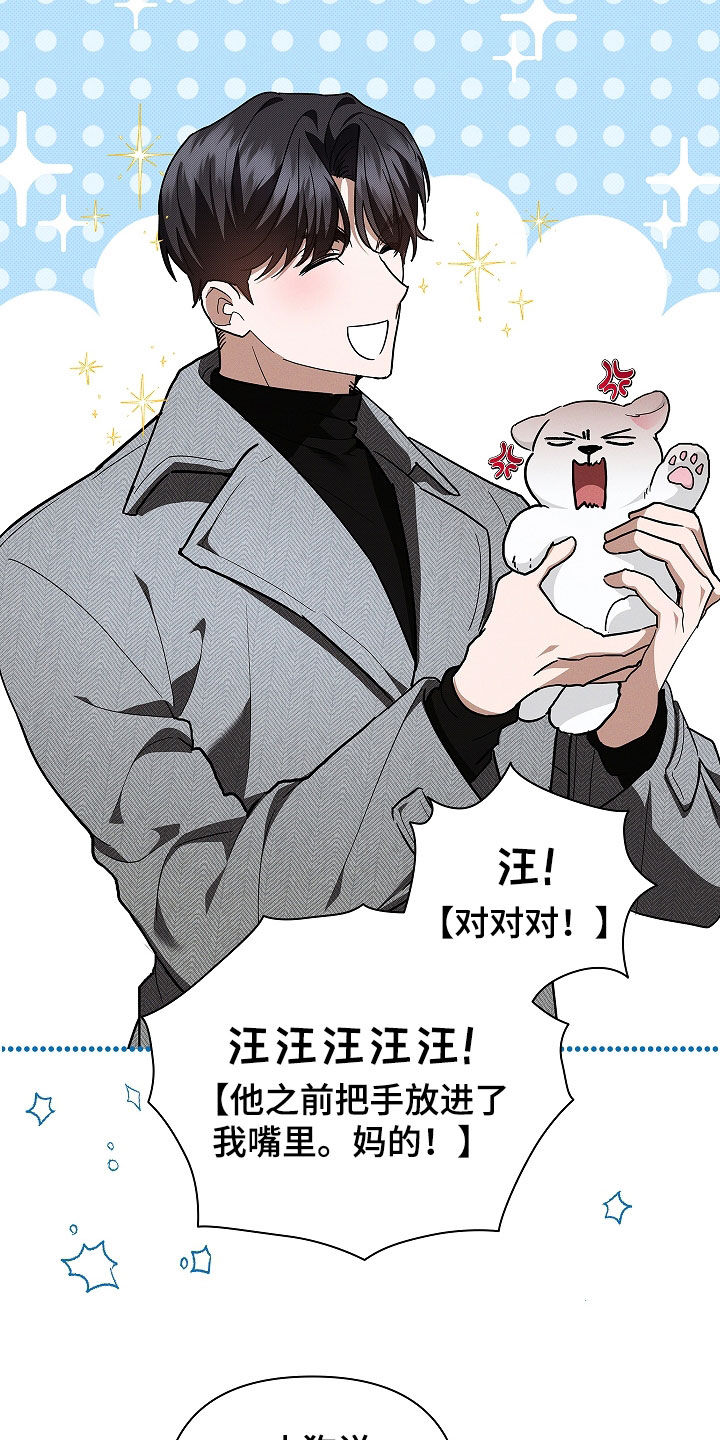 小白狗奇遇记漫画,第45章：报仇1图