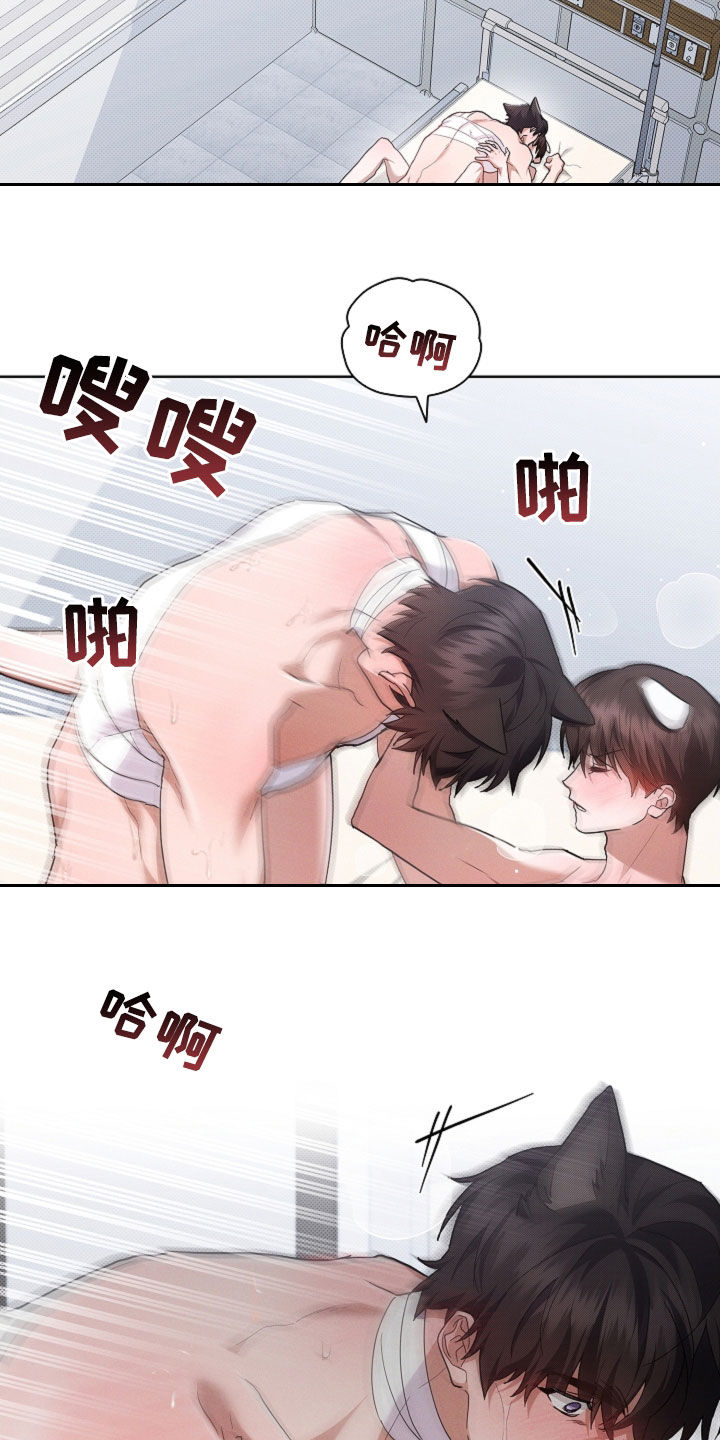 小白狗奇遇记漫画,第90章：【第二季】可以了3图
