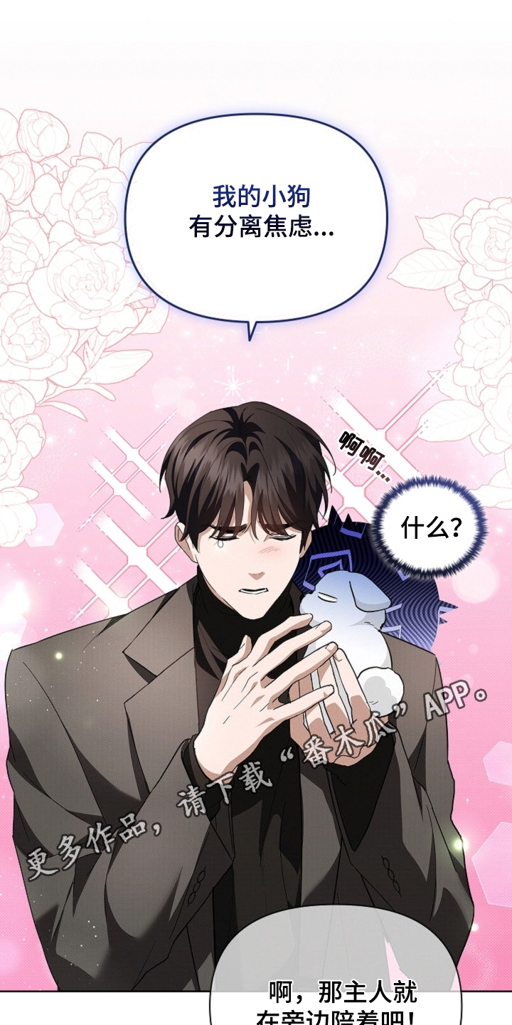 小白狗奇遇记漫画,第66章：见家长1图