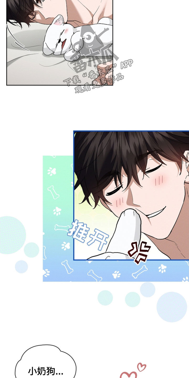 小白狗奇遇记漫画,第63章：命运的安排3图