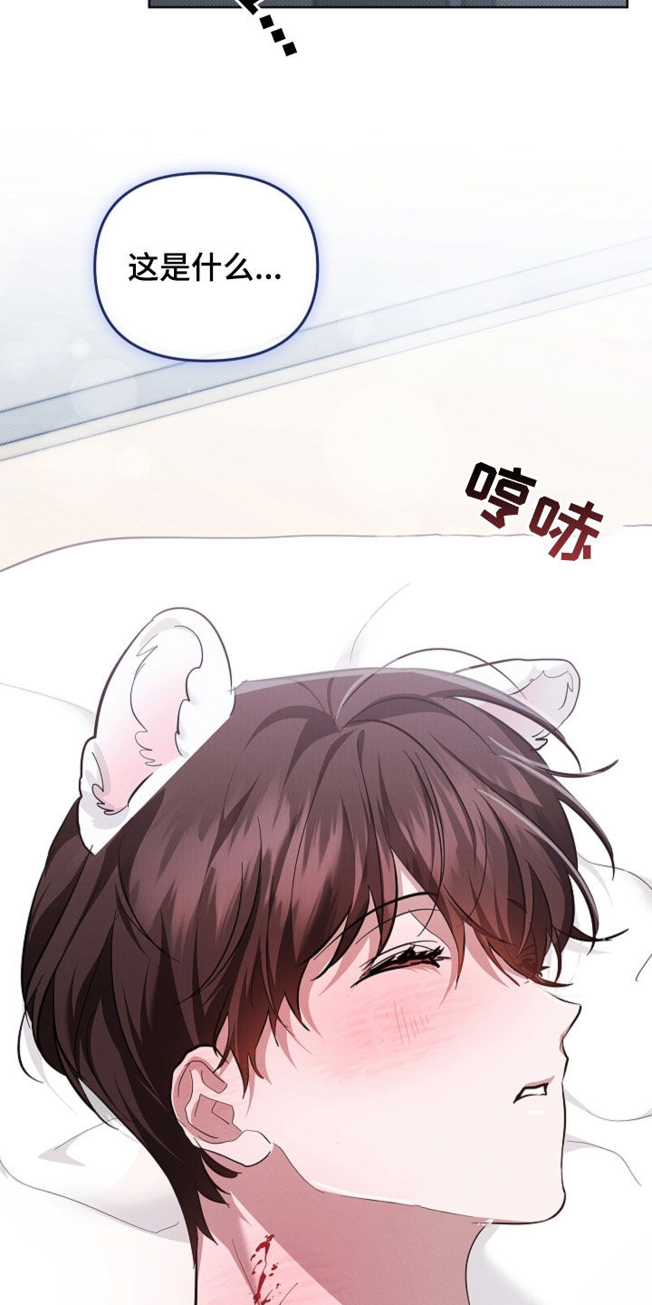 小白狗奇遇记漫画,第92章：【第二季】受伤4图