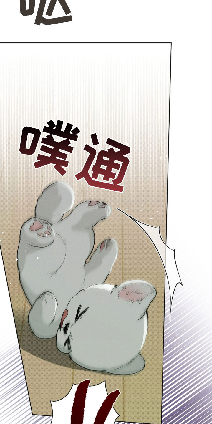 小白狗奇遇记漫画,第40章：逃跑1图