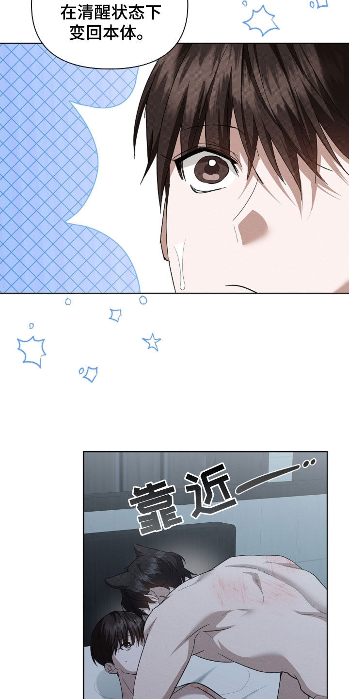 小白狗奇遇记漫画,第64章：我们得结婚了1图