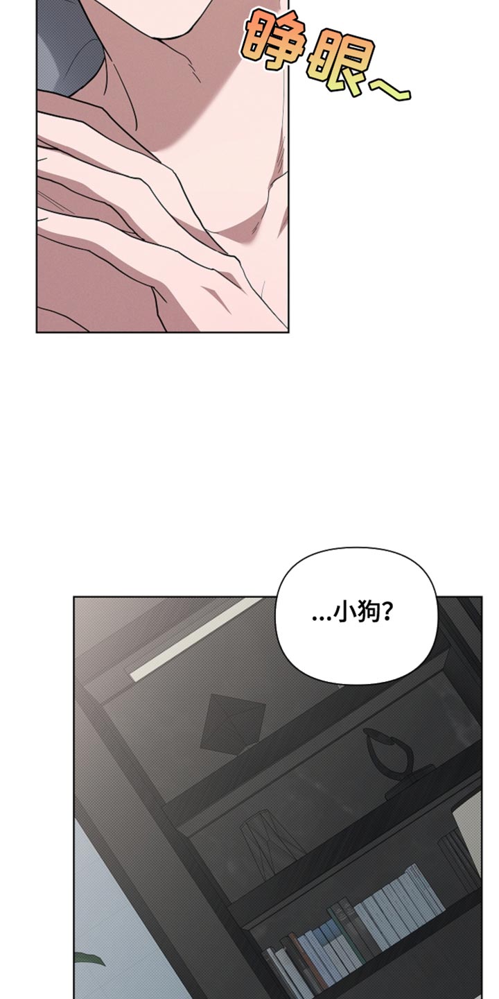 小白狗奇遇记漫画,第38章：晕倒2图