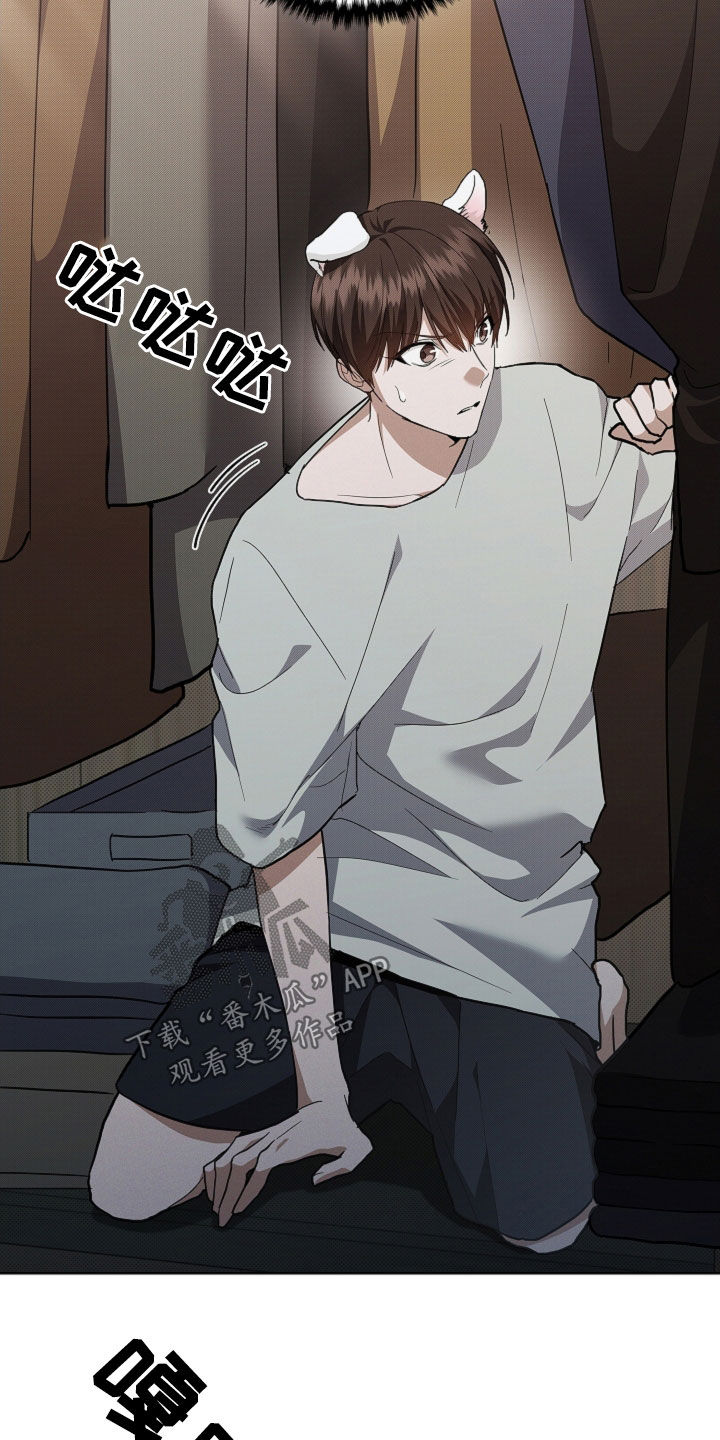 小白狗奇遇记漫画,第42章：是不是疯了3图