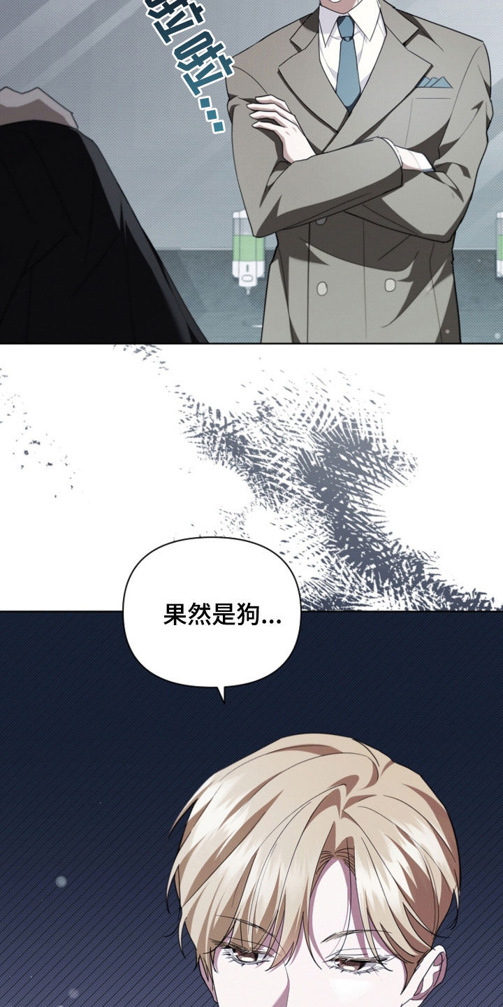 小白狗奇遇记漫画,第51章：我闯祸了5图