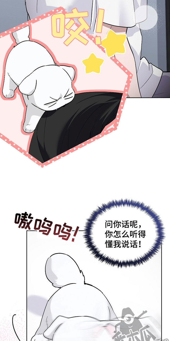 小白狗奇遇记漫画,第72章：【第二季】真神奇1图