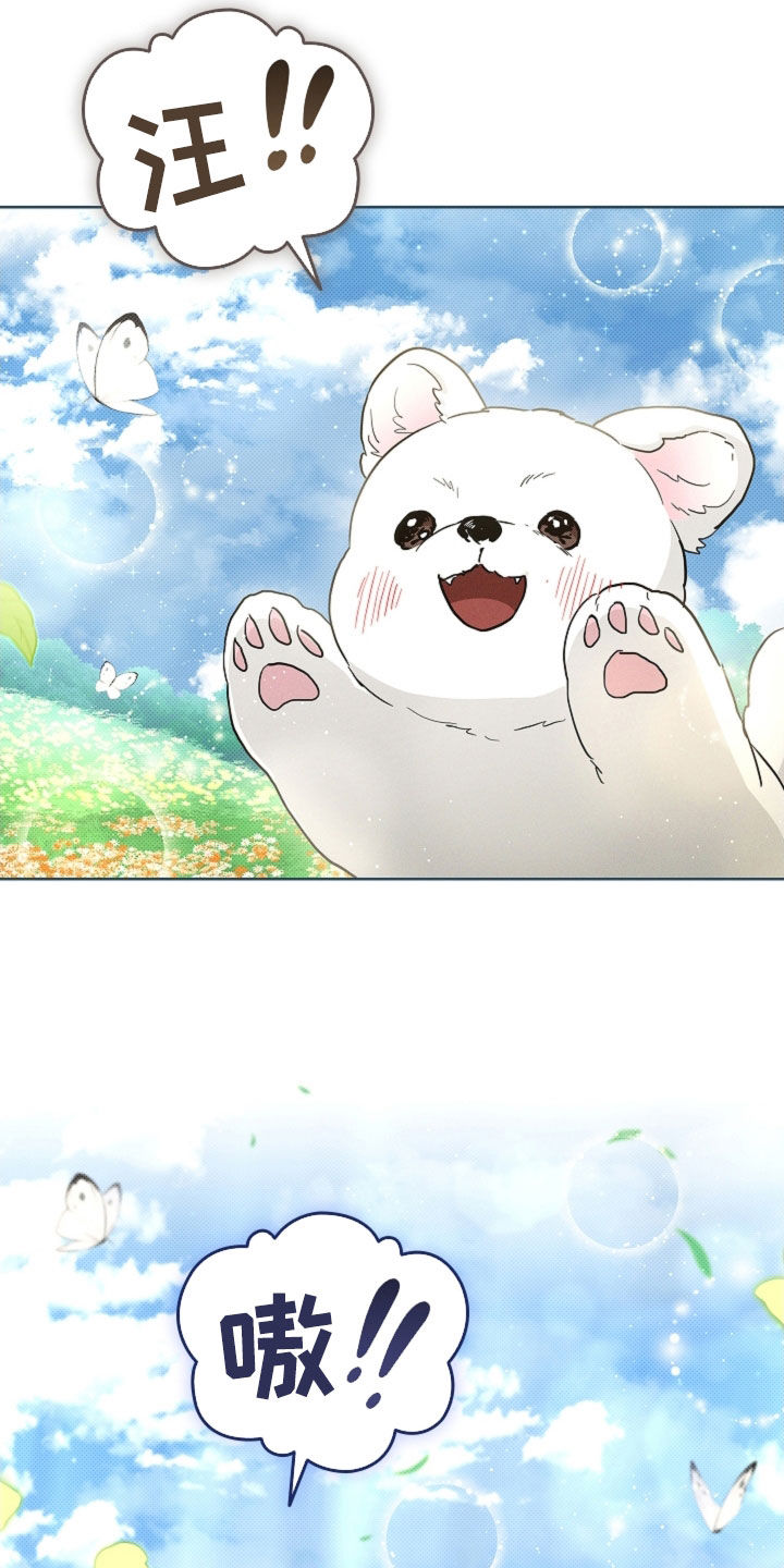 小白狗奇遇记漫画,第96章：【第二季完结】双向奔赴4图