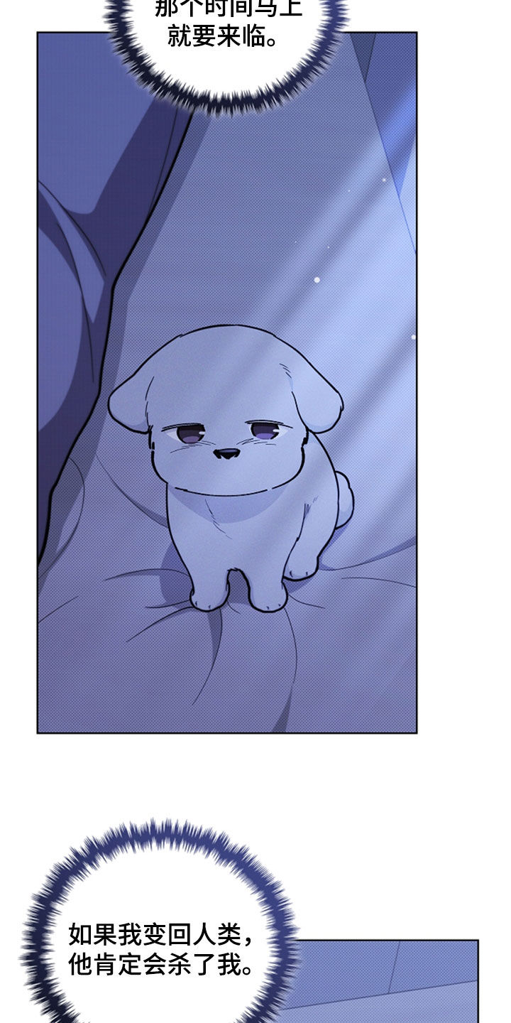 小白狗奇遇记漫画,第35章：你算什么东西1图