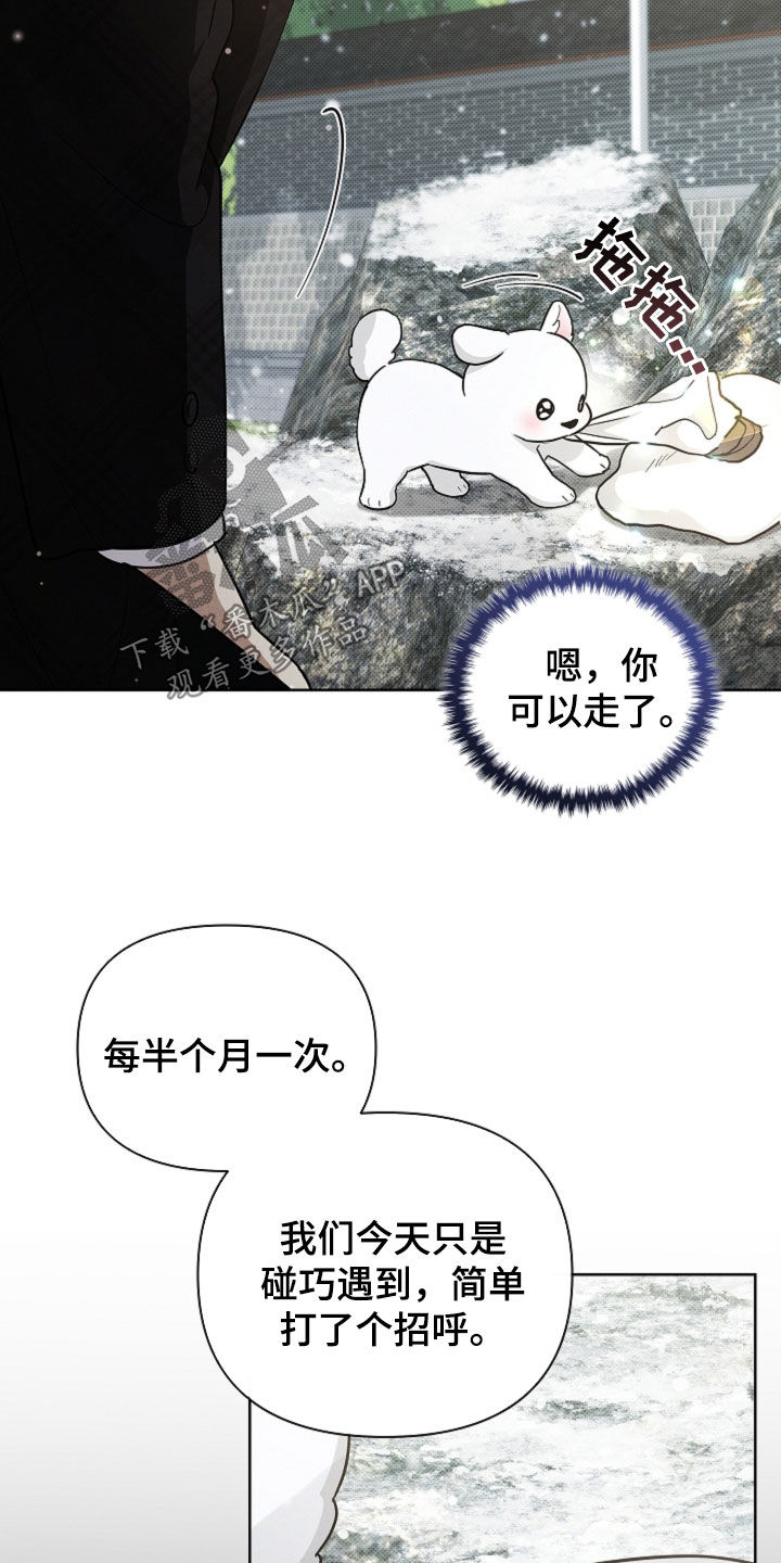 小白狗奇遇记漫画,第81章：【第二季】冤大头1图