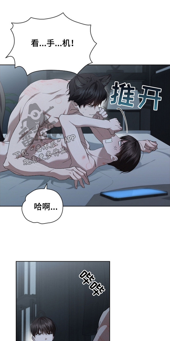 小白狗奇遇记漫画,第64章：我们得结婚了3图