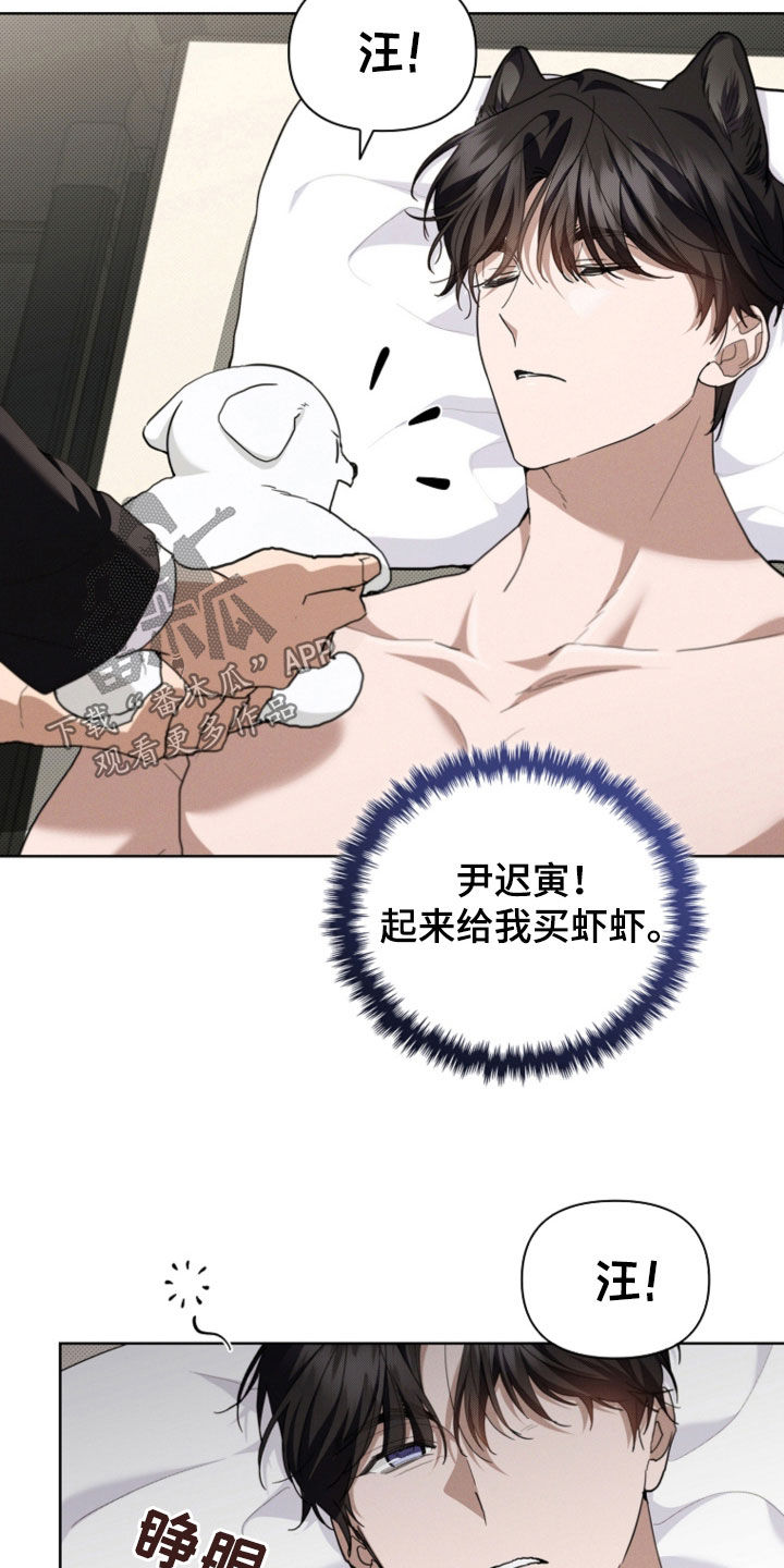 小白狗奇遇记漫画,第52章：真是个神经病5图