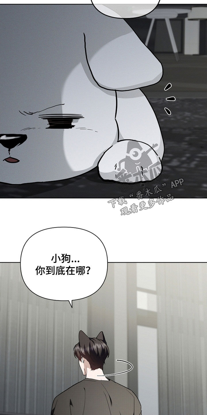 小白狗奇遇记漫画,第47章：他想攻击我5图