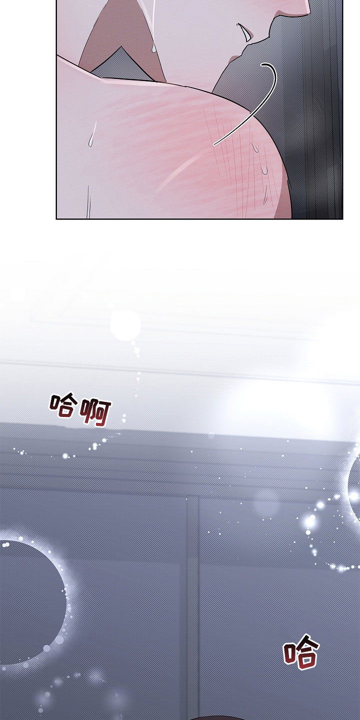 小白狗奇遇记漫画,第71章：【第二季】那我帮你3图