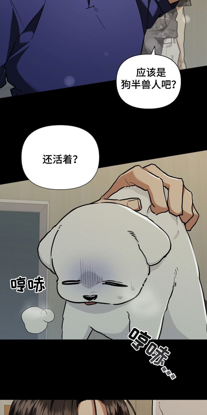 小白狗奇遇记漫画,第41章：体弱多病4图