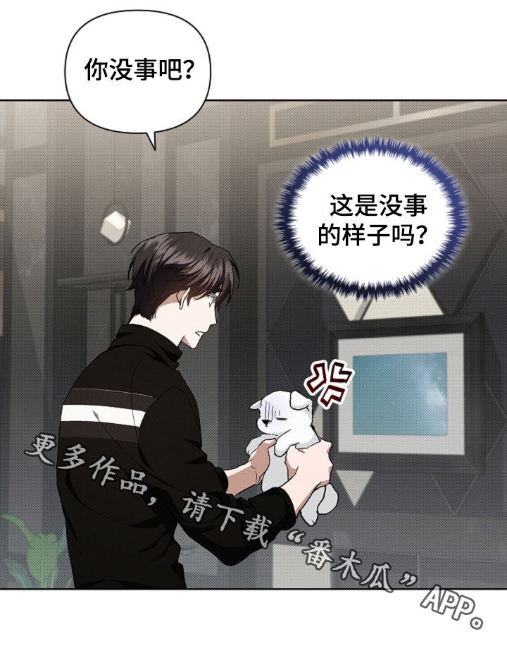 小白狗奇遇记漫画,第43章：当男朋友养1图